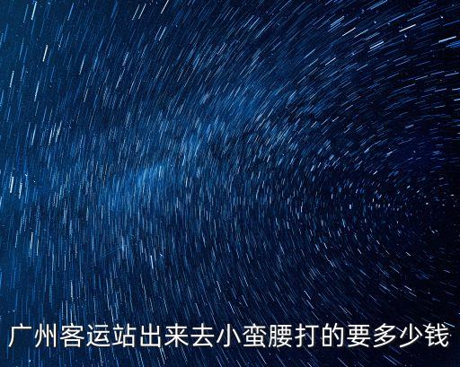 小蠻腰到廣州塔打車多少錢，廣州客運站出來去小蠻腰打的要多少錢