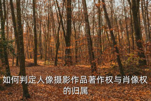 人像攝影作品，當(dāng)前什么樣的人像攝影作品最受歡迎