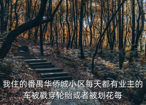 我住的番禺華僑城小區(qū)每天都有業(yè)主的車被戳穿輪胎或者被劃花每