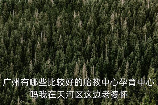 廣州有哪些比較好的胎教中心孕育中心嗎我在天河區這邊老婆懷