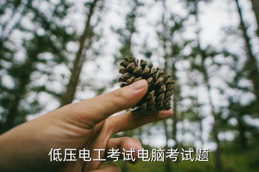 上海市低壓電工考試模擬試題，低壓電工考試題及答案