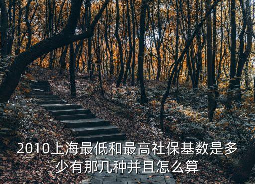 上海市2010年五險繳費金額，2010年上海自由職業者社保交納基數是多少