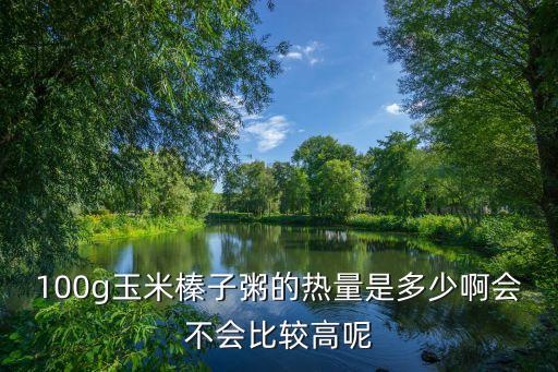 100g玉米榛子粥的熱量是多少啊會不會比較高呢