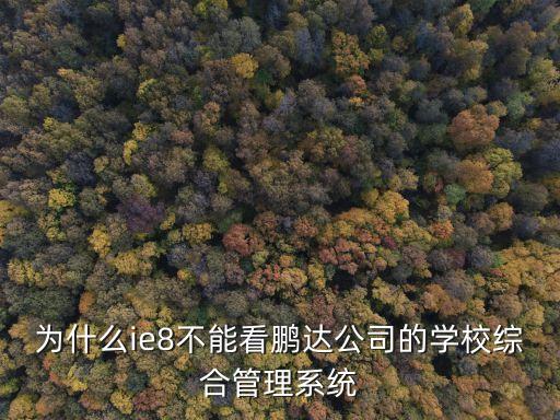 上海市工商外國語學校 鵬達系統，進鵬達網怎么進