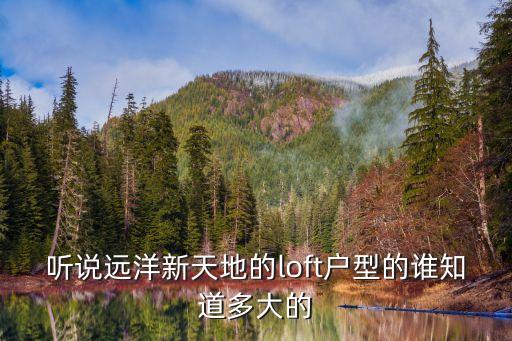 聽說遠洋新天地的loft戶型的誰知道多大的