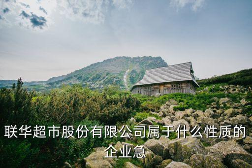 廣州聯(lián)華集團是上市公司嗎，聯(lián)華電子股份有限公司的介紹