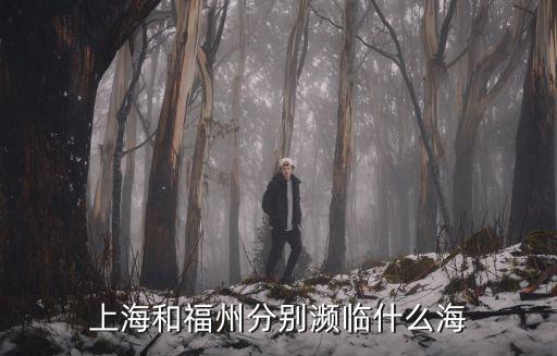 上海和福州分別瀕臨什么海