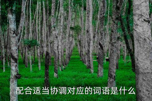 配合適當協調對應的詞語是什么