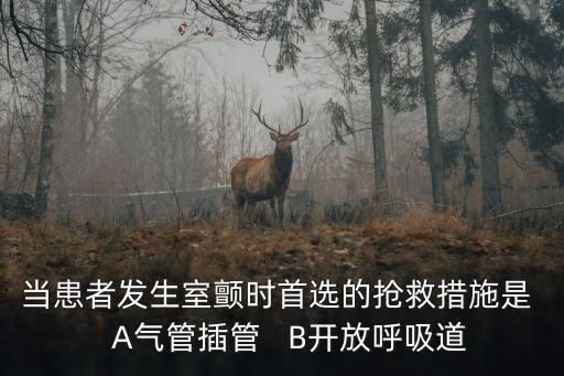 當(dāng)患者發(fā)生室顫時首選的搶救措施是   A氣管插管   B開放呼吸道