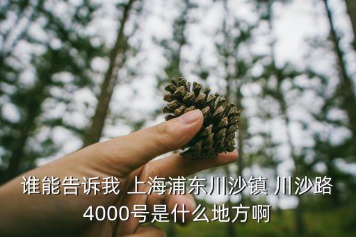 上海市川沙財經中專班英文翻譯，上海川沙鎮新德路的郵編是多少