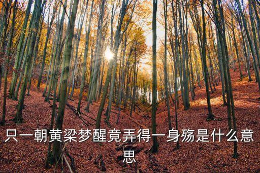 黃粱夢醒，不才為夢求多夢夢中夢求多夢醒夢醒夢中人中夢夢中豈知黃粱夢