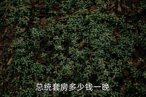 總統(tǒng)套房多少錢一晚