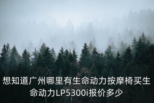 想知道廣州哪里有生命動力按摩椅買生命動力LP5300i報價多少