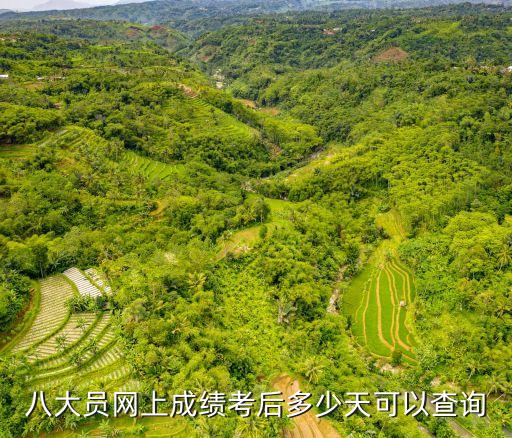 上海市 建筑八大員考試成績查詢，八大員網上成績考后多少天可以查詢