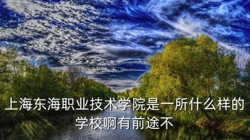 上海東海職業(yè)技術(shù)學(xué)院是一所什么樣的學(xué)校啊有前途不