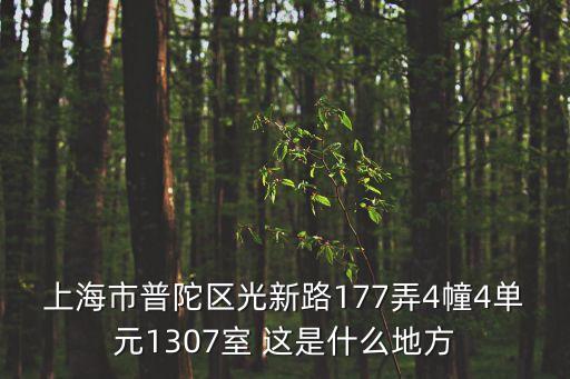 上海市普陀區光新路177弄4幢4單元1307室 這是什么地方