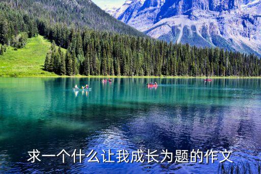 求一個什么讓我成長為題的作文