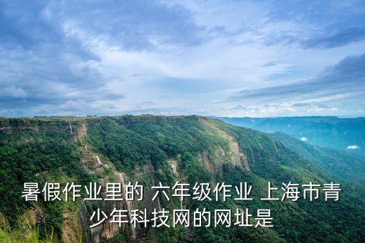 上海市科普教育官網，暑假作業里的 六年級作業 上海市青少年科技網的網址是