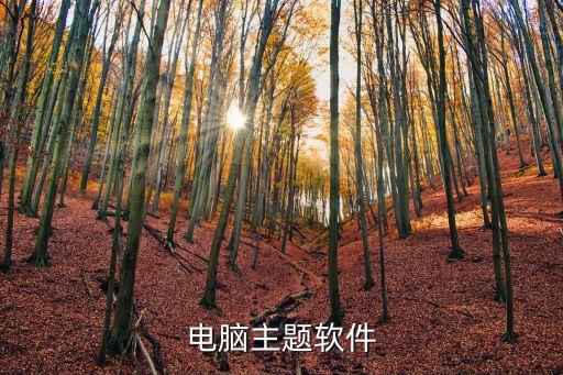 電腦主題軟件