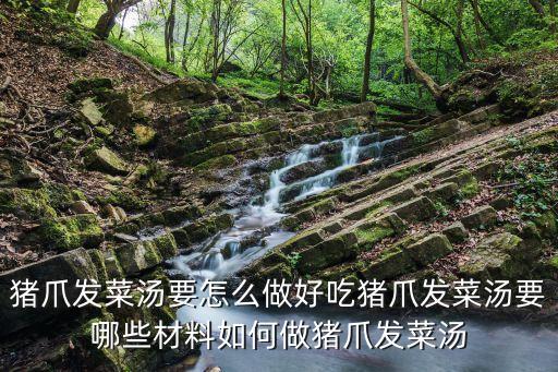 發(fā)菜豬手，豬爪發(fā)菜湯要怎么做好吃豬爪發(fā)菜湯要哪些材料如何做豬爪發(fā)菜湯