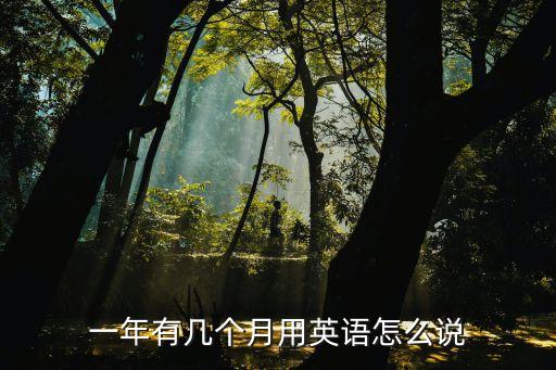 一年有幾個月用英語怎么說