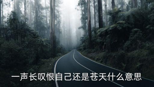 一聲長嘆恨自己還是蒼天什么意思