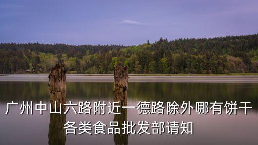 廣州中山六路附近一德路除外哪有餅干各類食品批發部請知