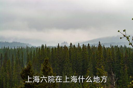 上海六院在上海什么地方