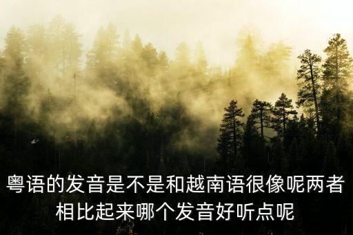 越南粵語廣州話，越語和粵語是諧音嗎