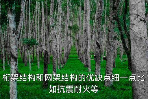 桁架結構和網架結構的優缺點細一點比如抗震耐火等