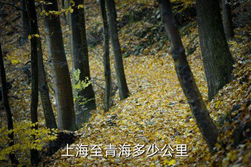 上海市到青海省，上海至青海多少公里
