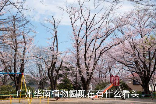 廣州華南植物園現在有什么看頭