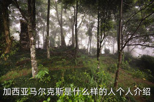 馬爾克斯簡介，馬爾克斯甚么時候誕生