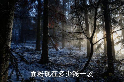 廣州小麥粉多少錢一袋，穗嘉豐面粉現在市場價多少錢一包