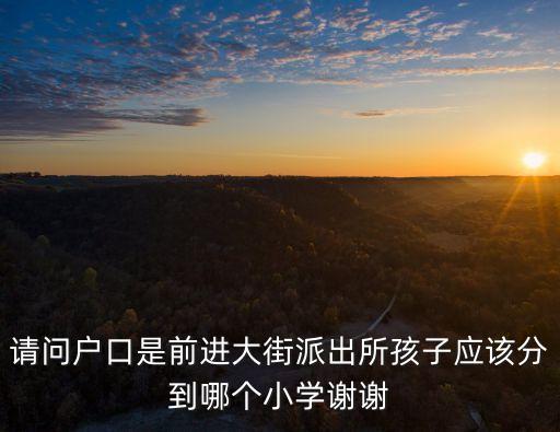 請問戶口是前進(jìn)大街派出所孩子應(yīng)該分到哪個小學(xué)謝謝