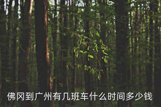 佛岡到廣州有幾班車什么時間多少錢