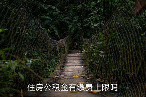 公積金繳存上限，住房公積金有繳費上限嗎