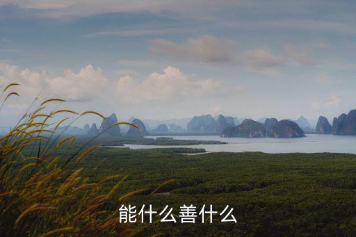 能什么善什么