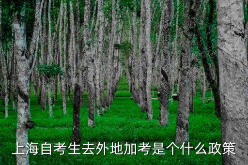 上海自考生去外地加考是個什么政策