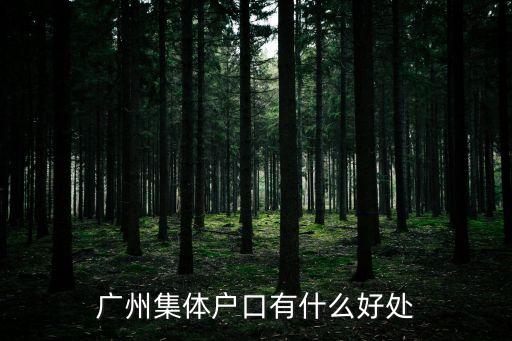 廣州集體戶口有什么好處