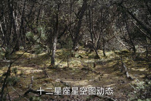 十二星座星空圖，12星座星系圖