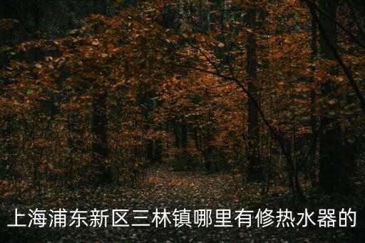 上海浦東新區(qū)三林鎮(zhèn)哪里有修熱水器的