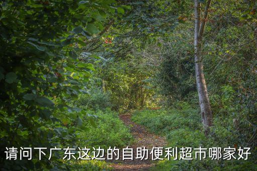 請問下廣東這邊的自助便利超市哪家好