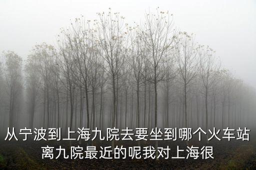 從寧波到上海九院去要坐到哪個(gè)火車站離九院最近的呢我對上海很