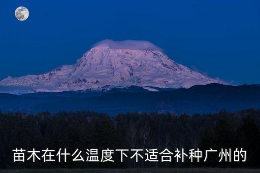 廣州新聞直播正欣園藝，花草專家解疑難問題