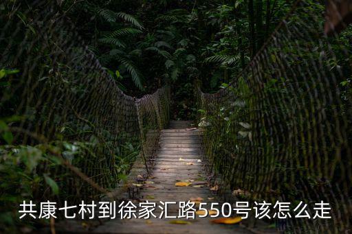 共康七村到徐家匯路550號該怎么走