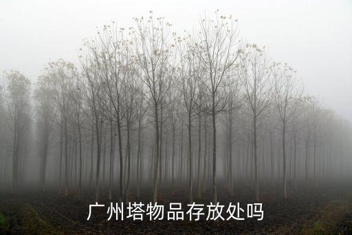 廣州塔物品存放處嗎