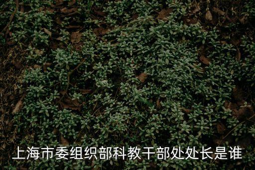 上海市委組織部科教干部處處長是誰
