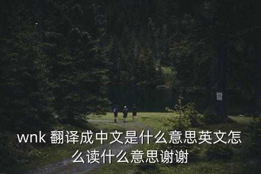 wnk，wnk這個牌子生產過純銀勺子嗎