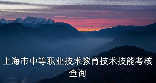 上海市中職學業水平考查詢，如何查詢中職學業水平考試成績有準考證號